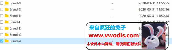 大众固件数据最新2020年3月-迅雷/IDM下载
