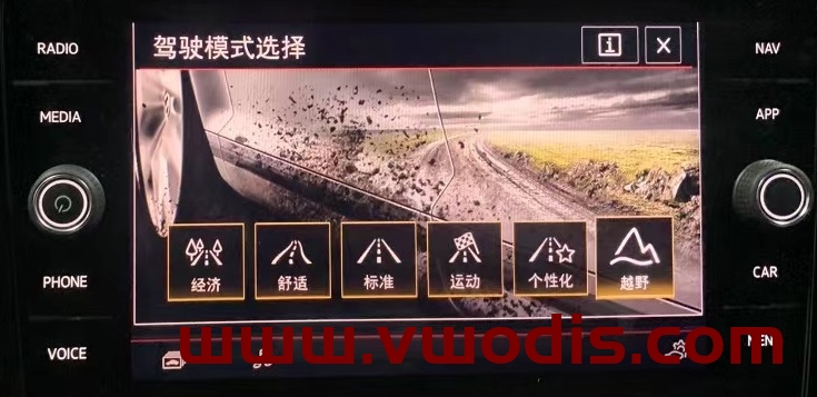 大众斯柯达西亚特奥迪远程开通驾驶模式-SWAP-永久在线