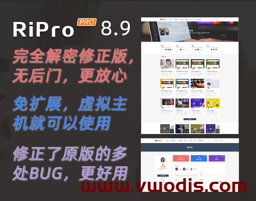 【主题】Ripro8.9完全解密修正版，无加密无后门