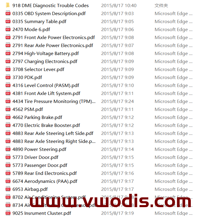 【Repair】Porsche 918 Spyder Diagnostic Information