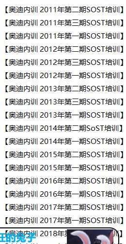 某禅–奥迪改装资料6.3G