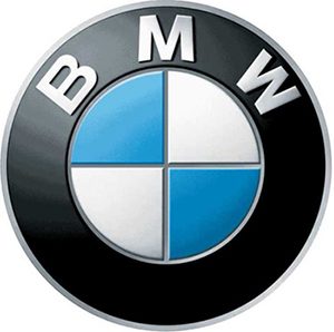 BMW E-Sys 3.30.1 + E-Sys Launcher PRO + Token Generator (50 Years License)